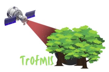 ../_images/trofmis3.png